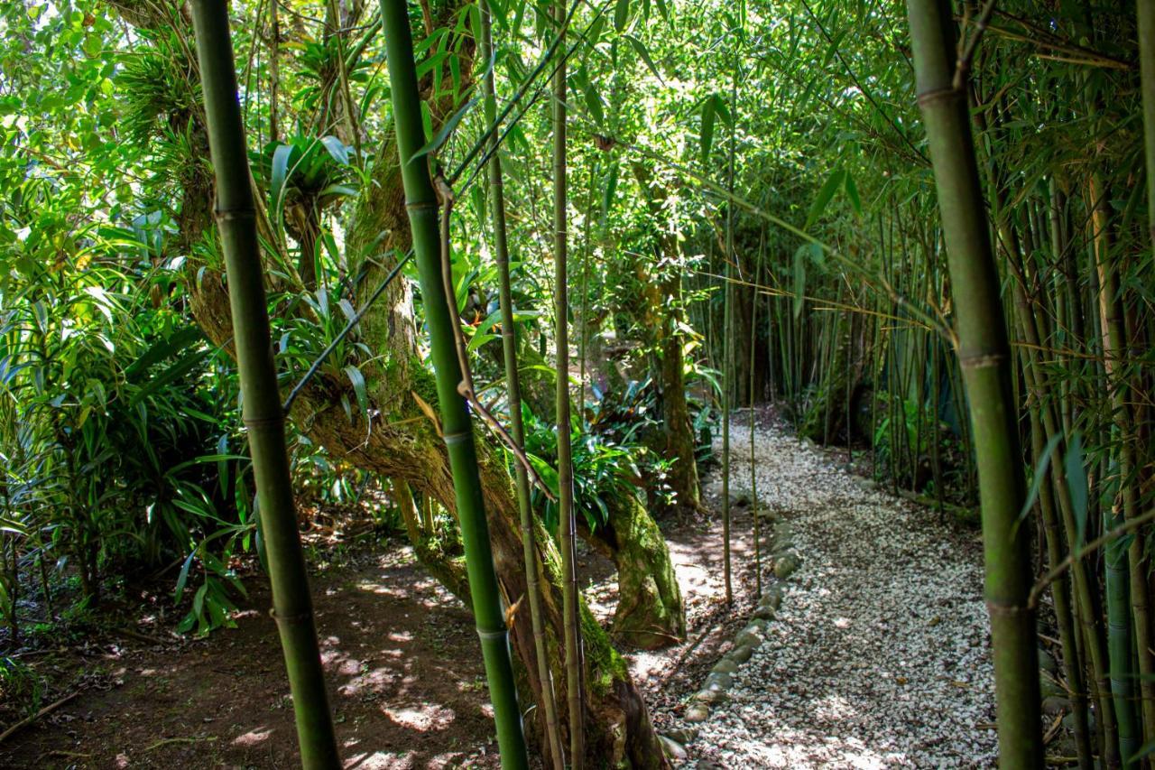 Hotel Holistico Monteverde 외부 사진
