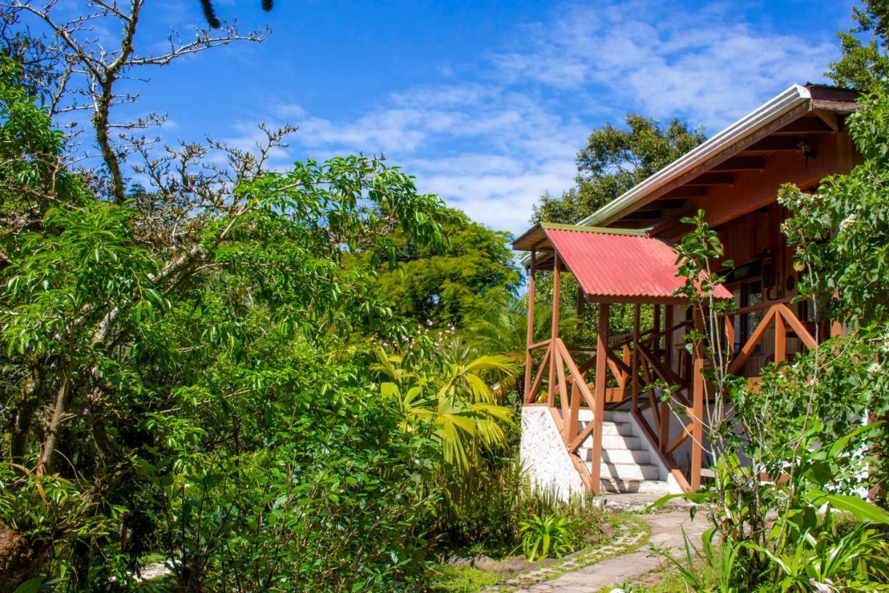 Hotel Holistico Monteverde 외부 사진