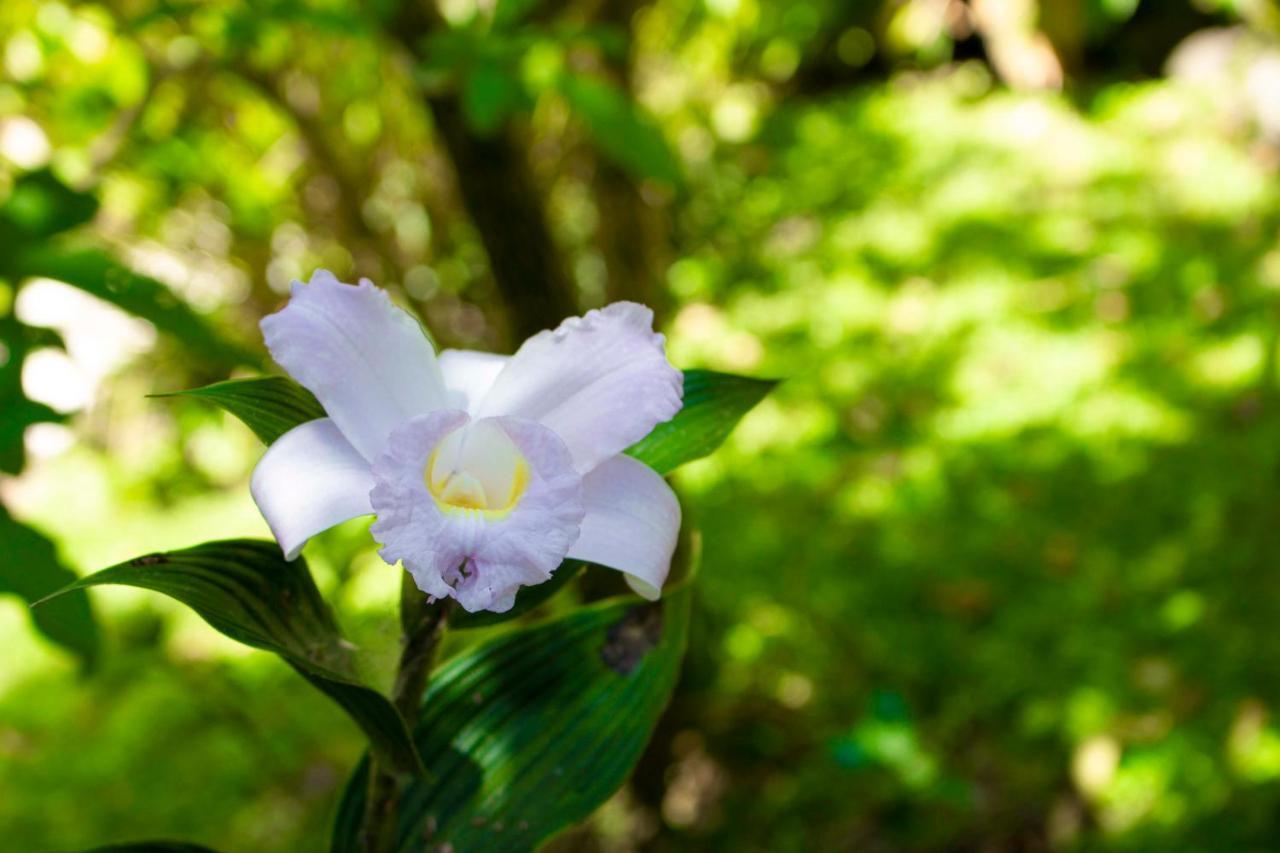 Hotel Holistico Monteverde 외부 사진