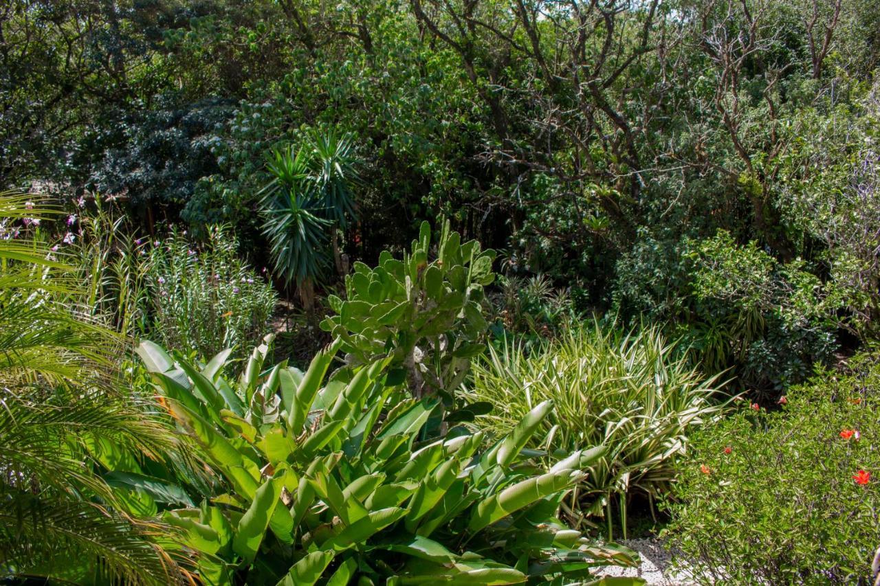 Hotel Holistico Monteverde 외부 사진